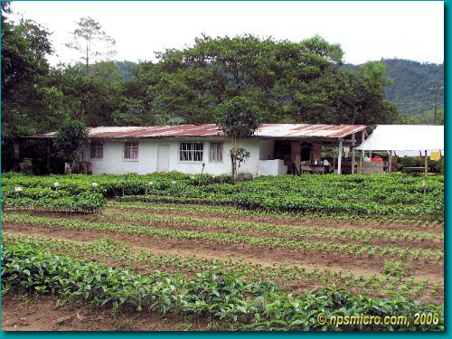 Province de Pinchincha (2006)