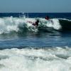Le club offre gratuitement des planches de « boogie board » pour ceux qui n'ont pas peur des vagues! 