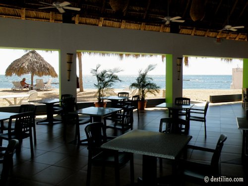 Restaurant Fusion Italo-Jamaicain 