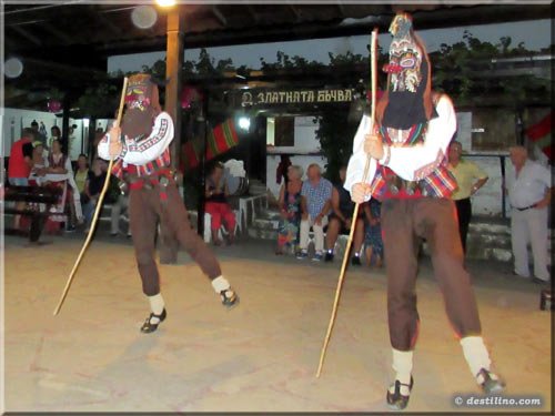 Spectacle de danse traditionelle