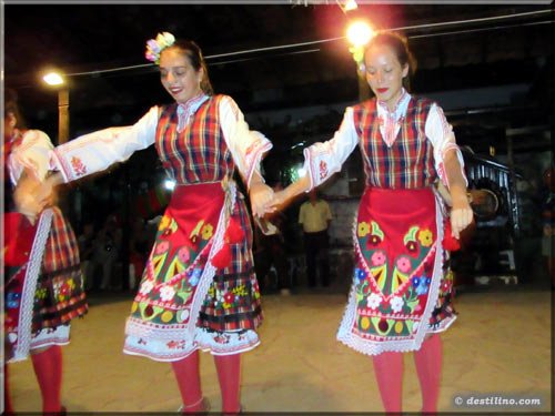 Spectacle de danse traditionelle
