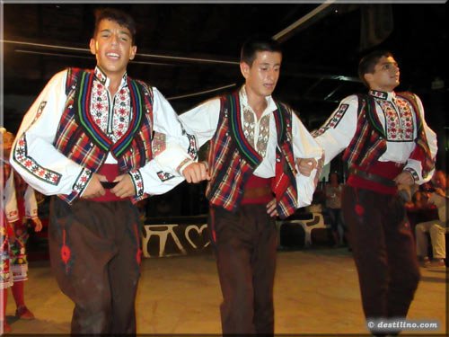 Spectacle de danse traditionelle