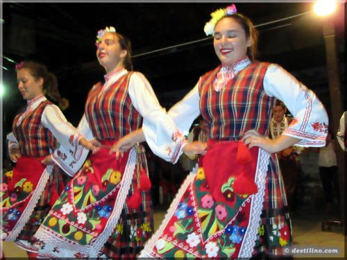 Spectacle de danse traditionelle