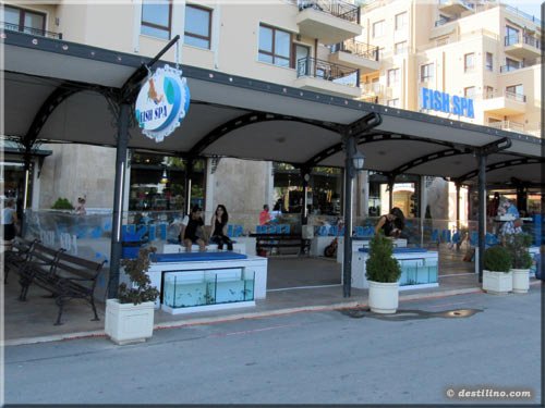 Très populaire à Golden Sands