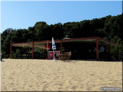 Snack bar (bouffe et bière)