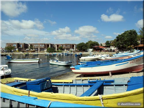Un port de pêche