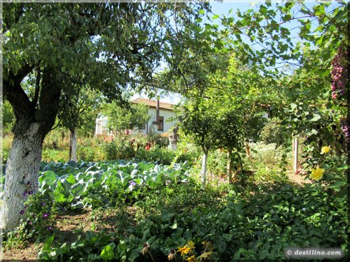 La ferme de Papi George