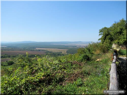 Vignoble de Bulgarie