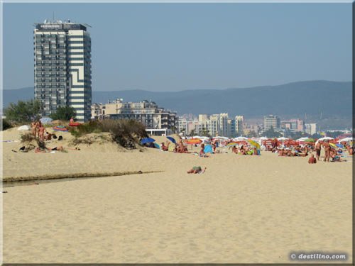 Sunny beach