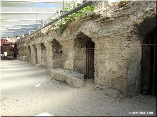 Latrine