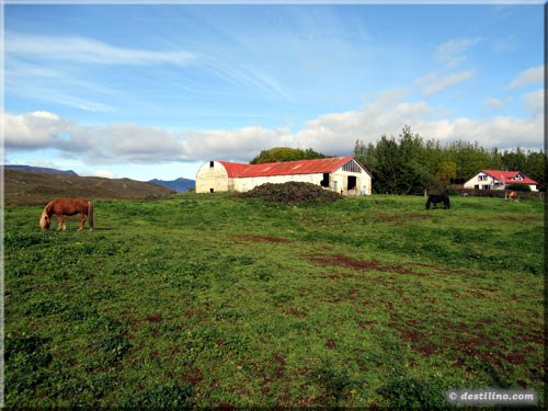 Magnifique paysage d'Islande