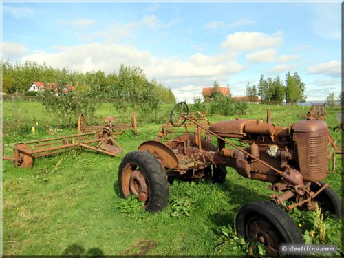 Le site de la ferme laitière