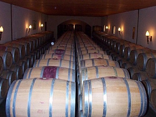 Chais du vignoble Chateau du Haut-Coteau, région de St-Estèphe 