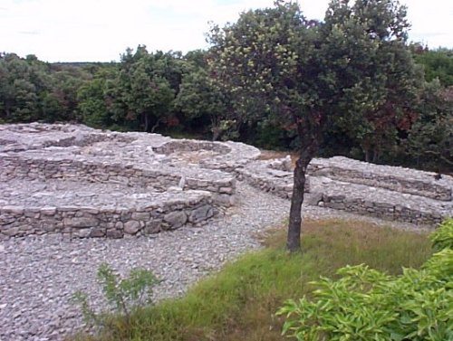 Cambous