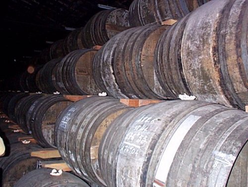 Dans les chais de Remy Martin 