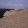 Vue du haut de la dune, côté forêt 
