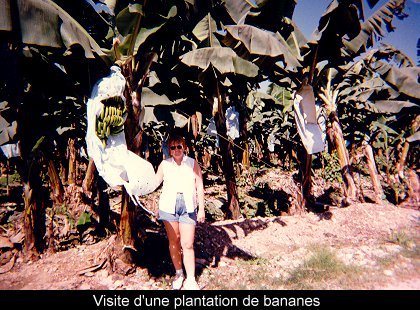 Guatemala & Honduras (1997)