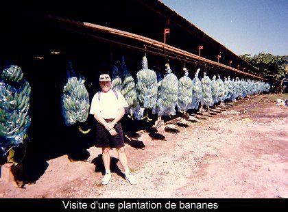 Guatemala & Honduras (1997)