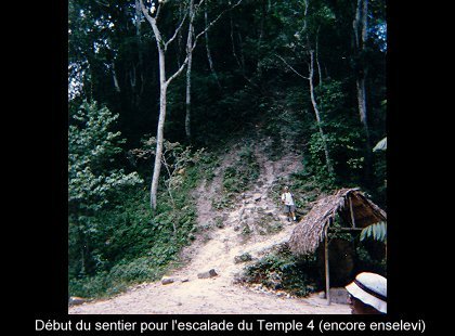 Guatemala & Honduras (1997)