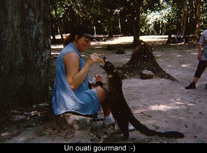 Guatemala & Honduras (1997)