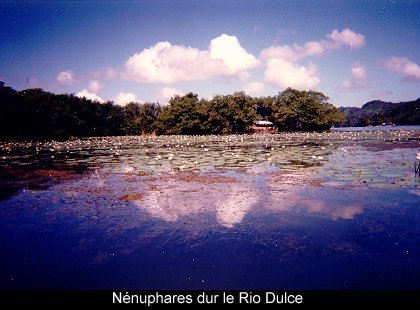 Guatemala & Honduras (1997)