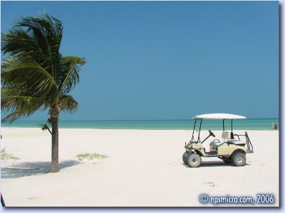 Notre golf cart