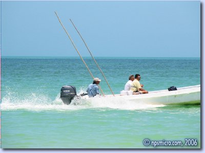 Bateau