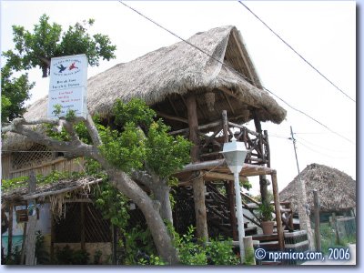 Village — Resto — La Isla del Colibri