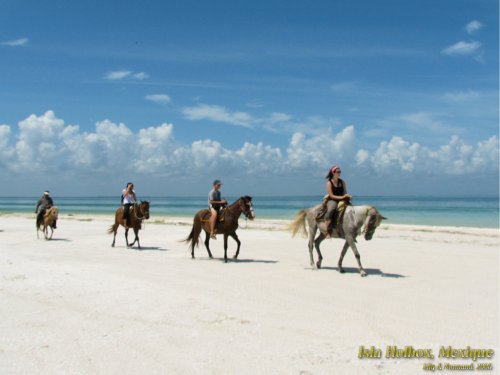 Isla Holbox (2006)