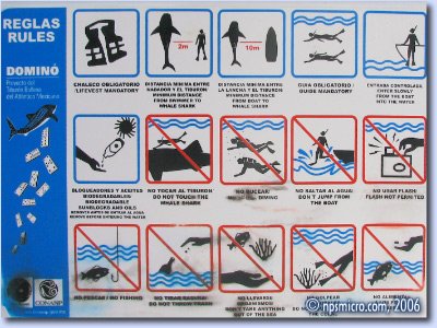 Excursion — instructions