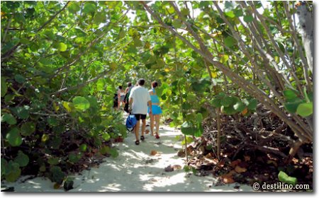 Le petit chemin pour se rendre à la plage, resto et bar