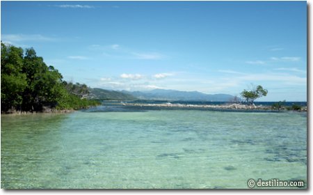 Le secteur sud, mangroves et coraux à la surface de l'eau