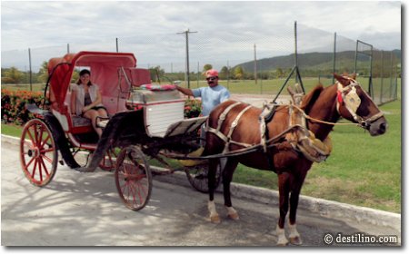 Service de calèche. Gratuit pour se rendre au Farallon et 4 CUC/pers. pour se rendre au village de Marea del Portillo 