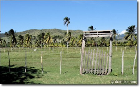 Le secteur jardin de l'hôtel (soit la vue des bungalows du Marea, #41 @ 56)