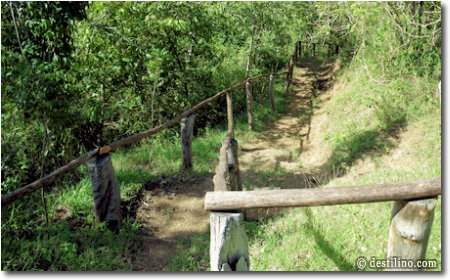 Sentier pour se rendre à la chute