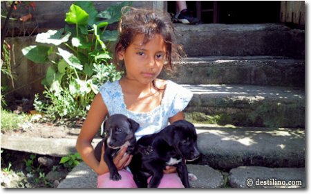 Elisabeth et les petits chiots