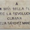 « À la plus belle fleur de la révolution Cubaine »