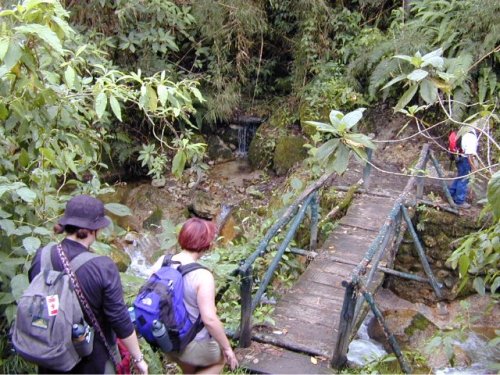 Le camino inca, région au climat mi-andin mi-amazonien 