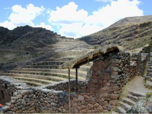 Ruines et terrasses de Pisac 