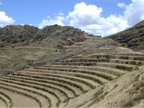 Terrasses (andènes) de Pisac 