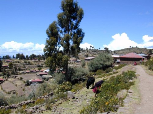 Nous approchons de Taquile 