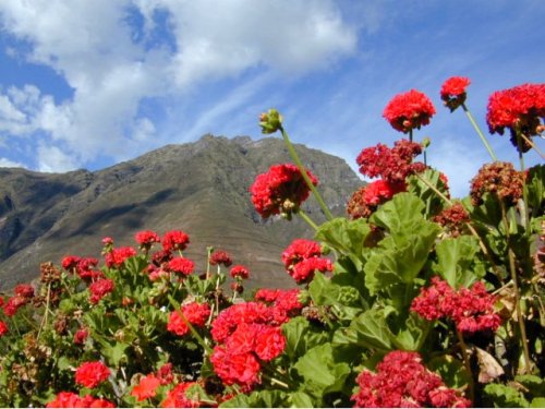Montagne derrière le village de Yucay 