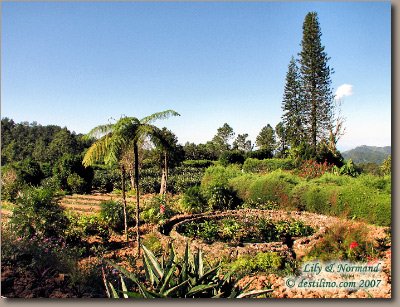 Excursion Gran Piedra (2007)