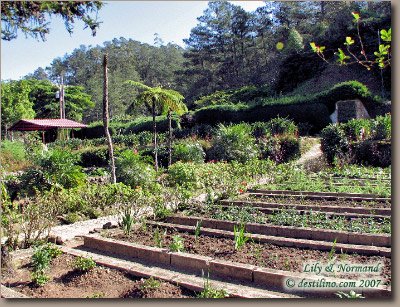 Excursion Gran Piedra (2007)