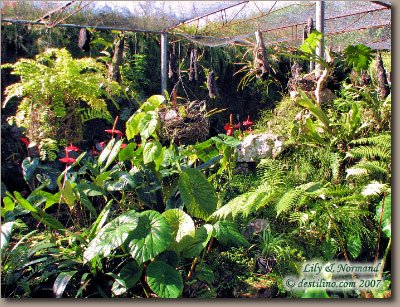 Excursion Gran Piedra (2007)