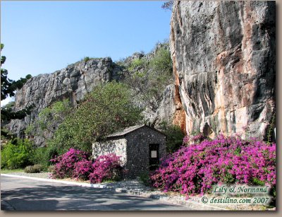 Gran Caribe Club Bucanero (2007)