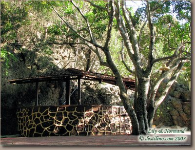 Gran Caribe Club Bucanero (2007)
