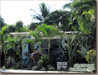 Pueblito Oasis (2007)