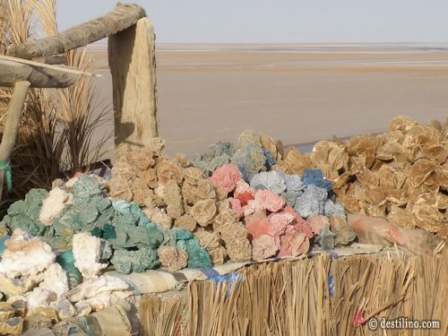 En route vers Tozeur. Chott el Jerid, le grand lac salé. Vendeur de roses du désert... colorées!