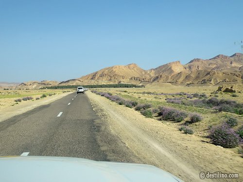 Balade en 4x4. En chemin vers Chebika